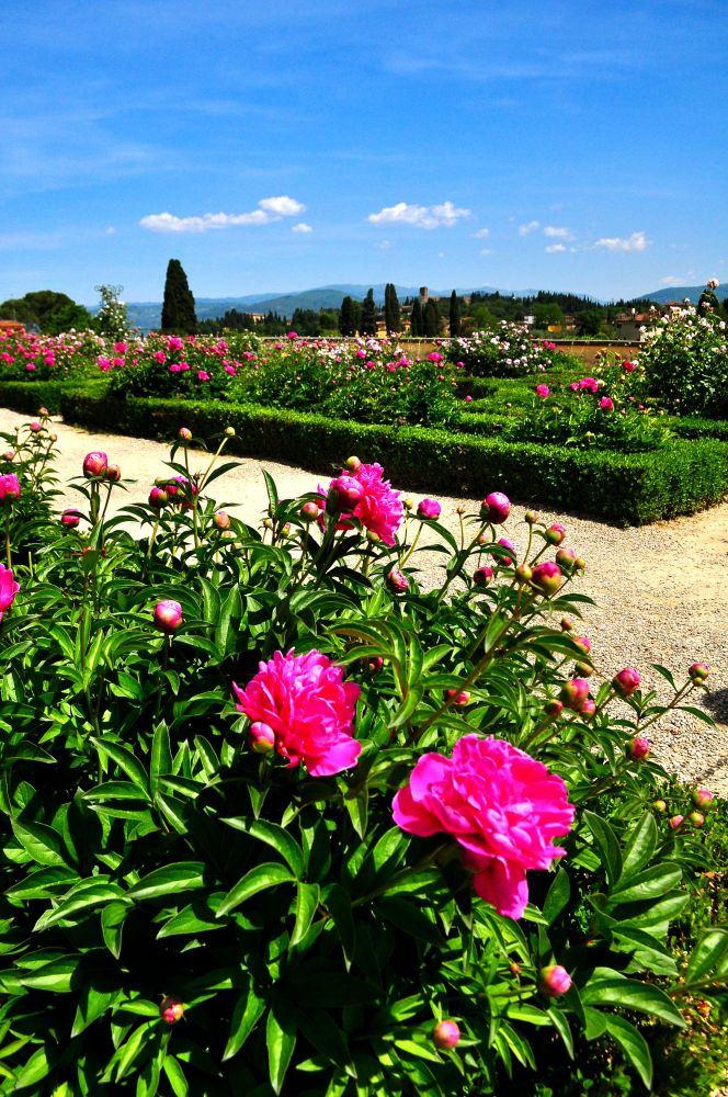 The Gardens of Florence