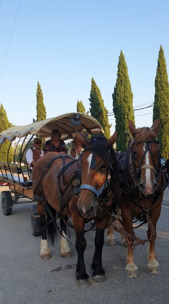 En Chianti en un carruaje de granjero