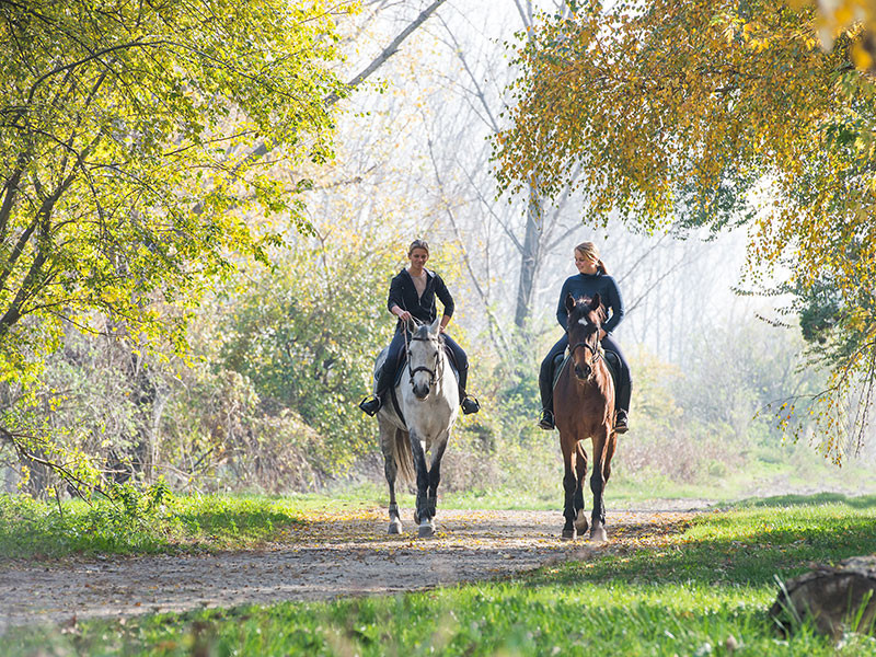 Tour a Caballo en Chianti con Degustaciòn