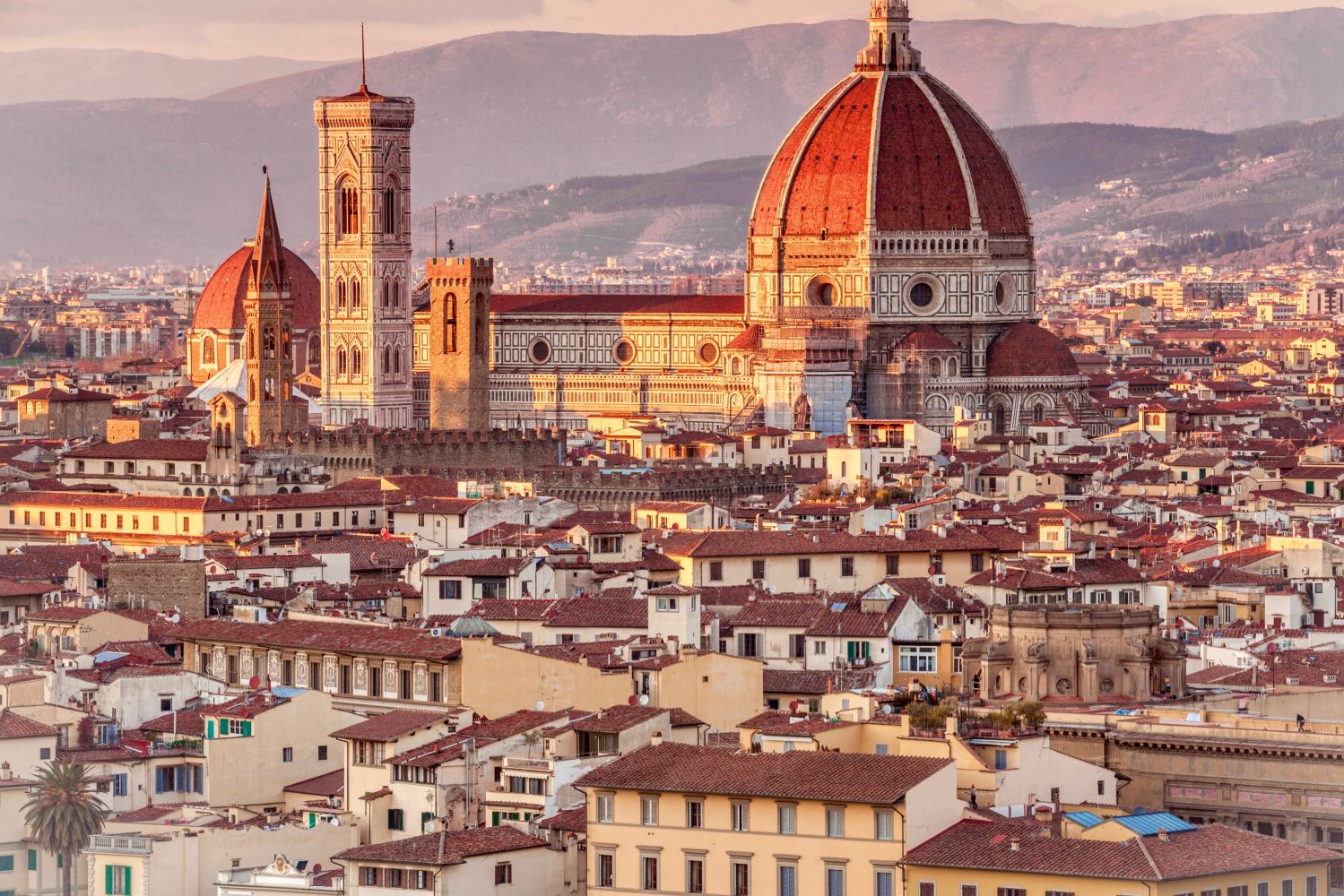 The artistic beauties of Florence