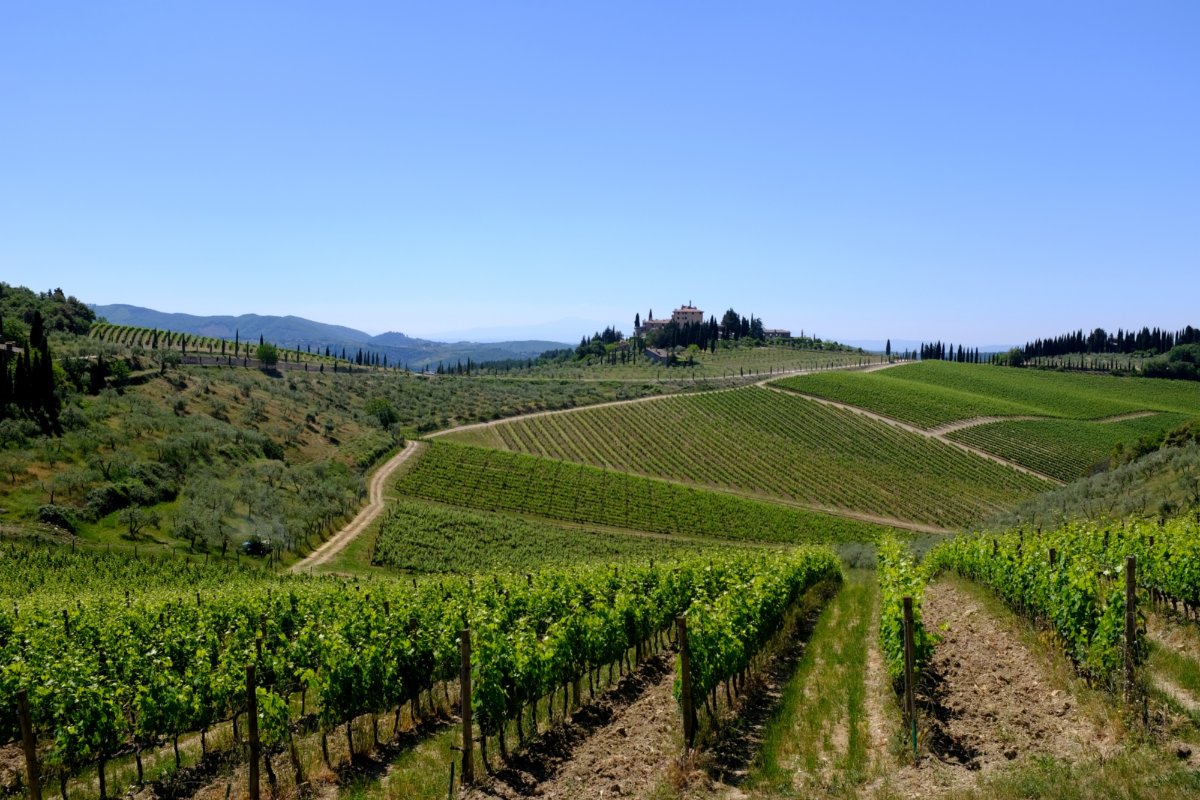 Tuscany in a day group tour with lunch