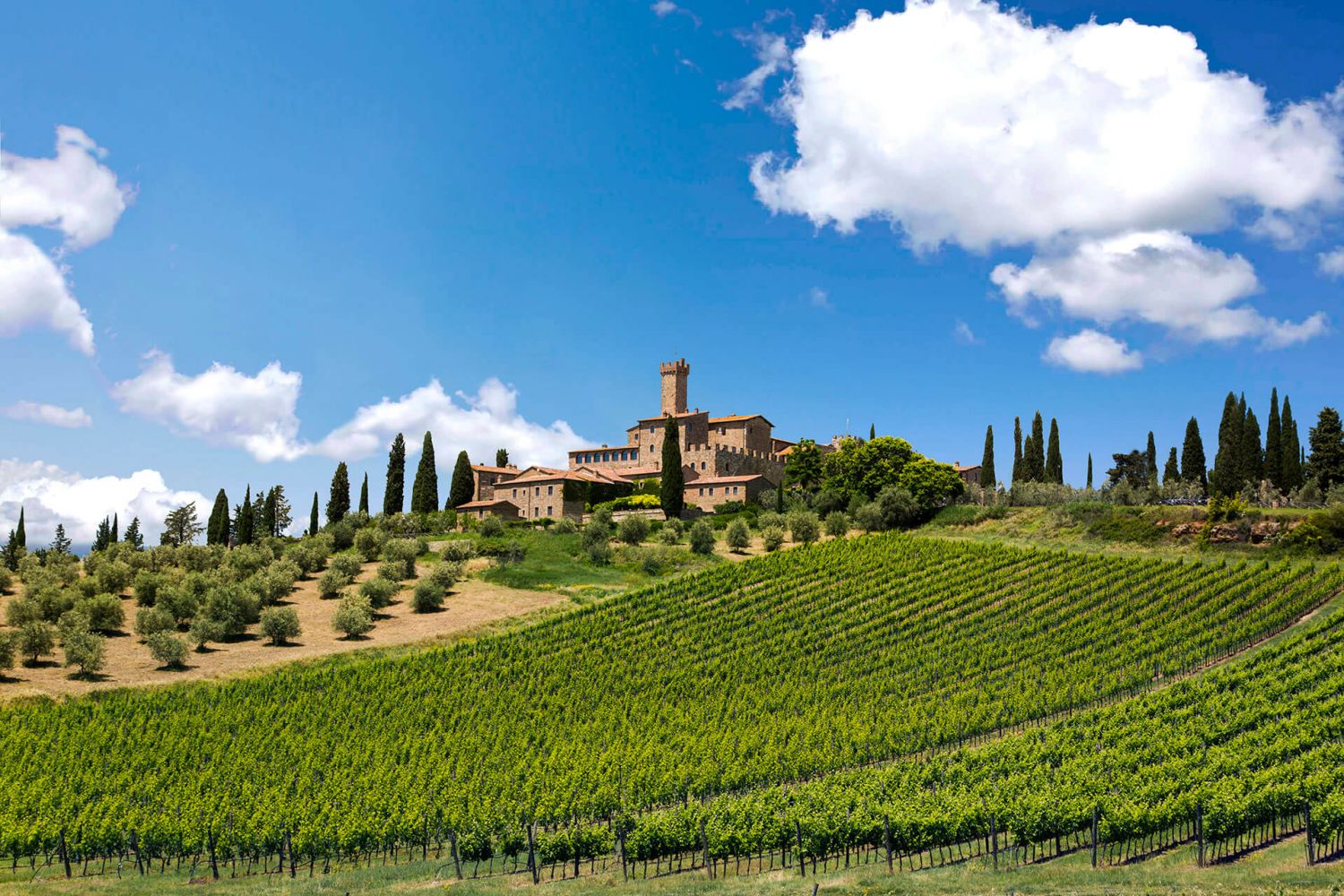 Montalcino und Montepulciano: die unbestrittene Ikone aller Landschaften der Welt 