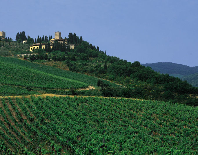 Am Schloss von Giovanni da Verrazzano: Der Seefahrer Und Seinem Wein
